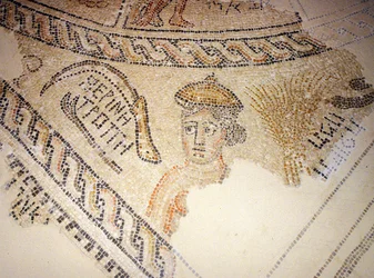 Sepphoris-Mosaik, Tzippori